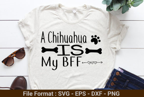 A Chihuahua is My BFF: A Designer's Review