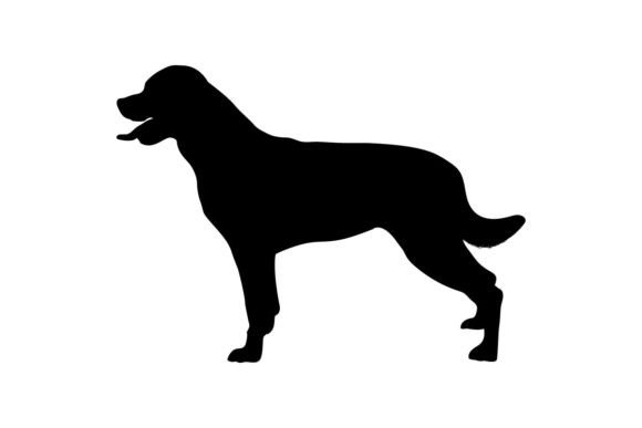 Rottweiler Svg Silhouette – A Hands-On Review for Embroidery Designers